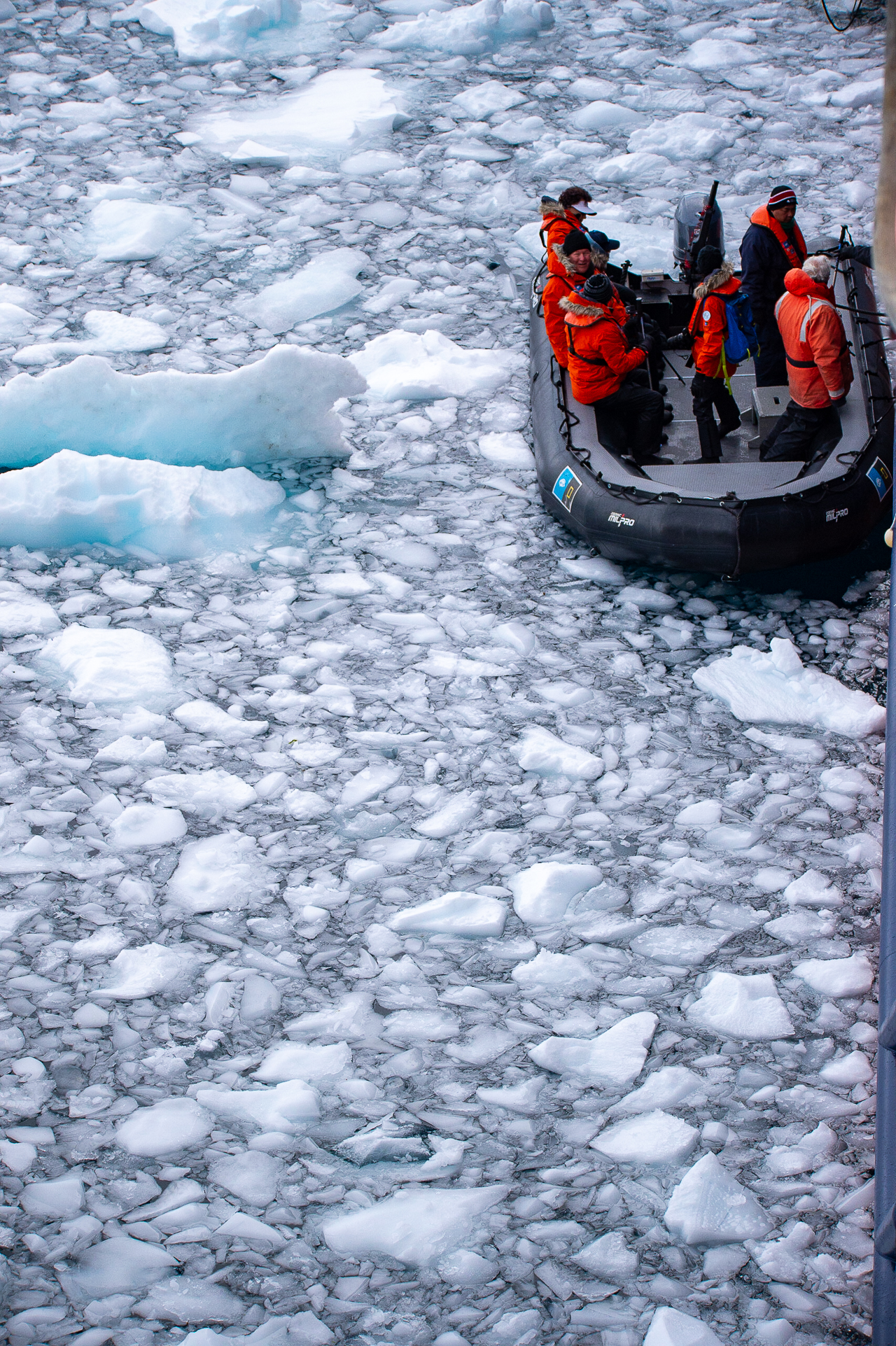 Zodiac in ice