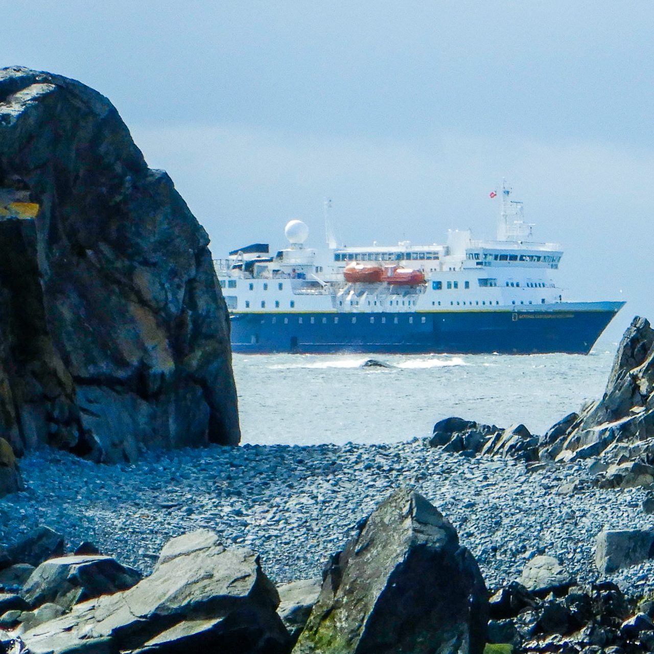 First Antarctic Landing - Robert Point